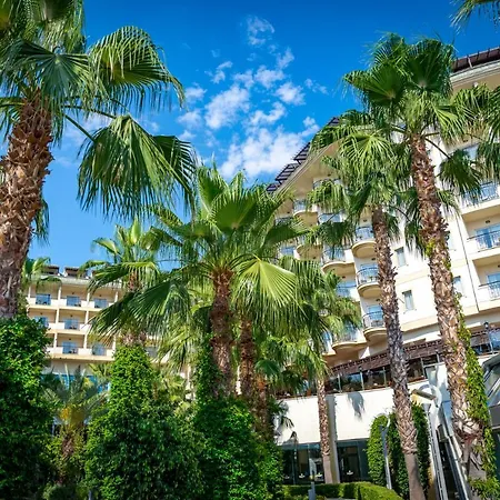 Mukarnas & Okurcalar