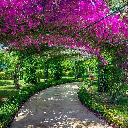 穆卡尔纳斯spa度假酒店 5*