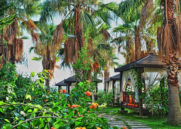 Mukarnas & Okurcalar